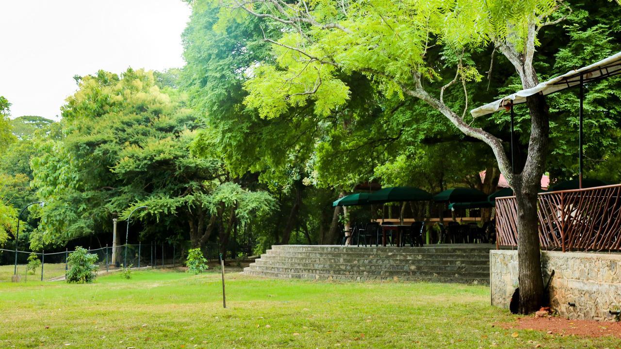 Bed and Breakfast Malwathu Oya Caravan Park à Anurâdhapura Extérieur photo